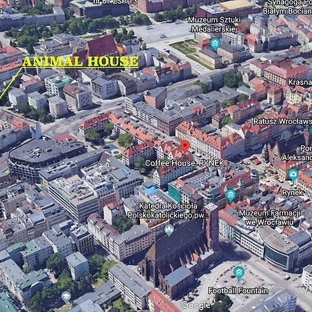 Animal House - Stayinヴロツワフ エクステリア 写真